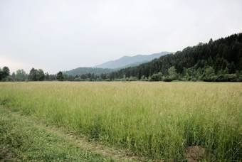 land-for-sale